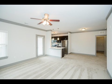 Davis Development 3 bed, 2bath Apartment for Rent