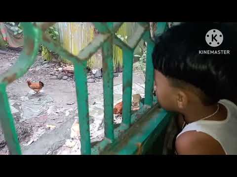 Sabiha and her fabourite Mini (cat)