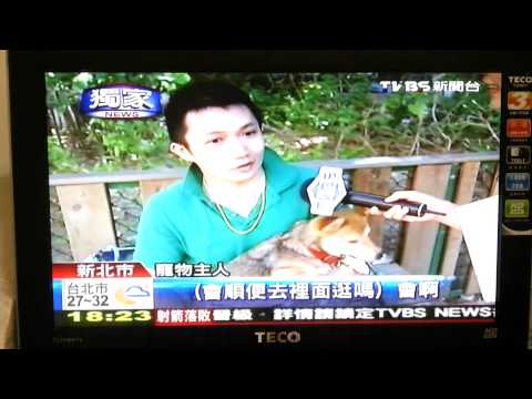 阿母 彤彤上電視啦~~~~~~~!!!!(原發表者:彤彤爸)(影片)