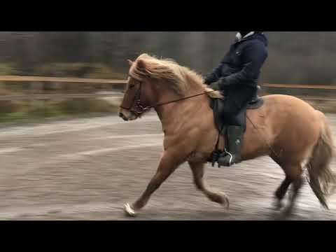 download lagu mp3 mp4 Melasol, download mp3 Melasol free download mp3, download mp3 Melasol