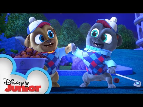 小狗狗和迷你高爾夫 ⛳｜小狗狗夥伴｜迪斯尼少年版 (Bingo and Rolly Mini Golf ⛳ | Puppy Dog Pals | Disney Junior)