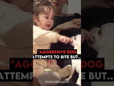 This Toddler Proves Her Dog is Friendly ❤️ #shorts