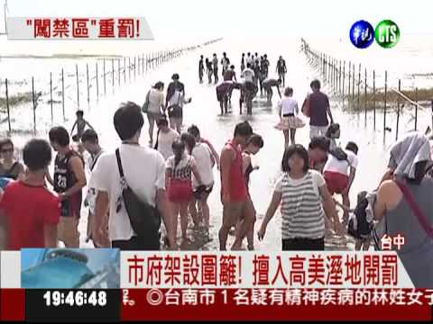 高美溼地管制! 擅入者最高罰25萬