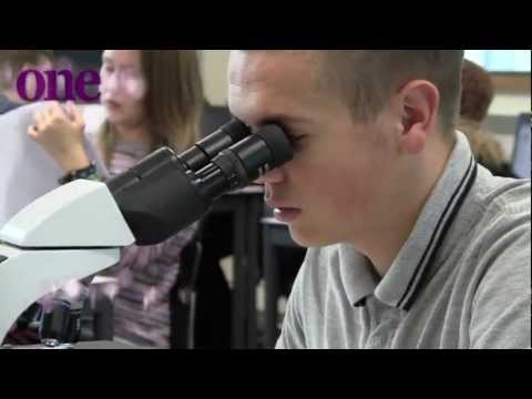 Applied Science at Suffolk One (Level 3 Extended Diploma)