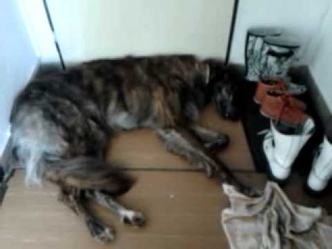 Absolutní nezájem! :-D