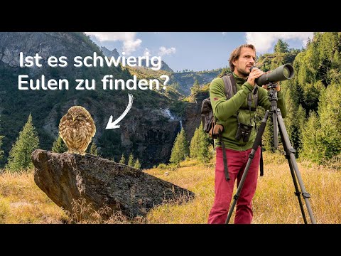 Von der Schwierigkeit Eulen zu finden🦉🫤(Vorsicht Humor!)
