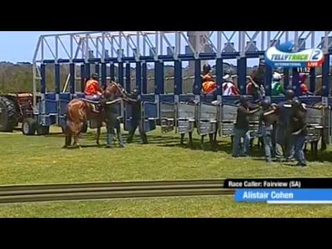 Pure Fiction (Lyle Hewitson) Bold Silvano - Irish Tale