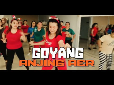 KELVIN FORDATKOSSU || GOYANG ANJING AER || 3D'Mers TOBELO Dance.