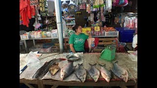 preview picture of video 'Laos Amazing Food in Market - Fish Market'
