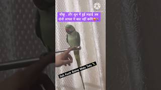 Download lagu Chiku Aor .Chubh , Me Hui katti π¦#birds #funny #comedy #parrot #viralshorts #youtubeshorts #shorts mp3 Download lagu Chiku Aor .Chubh , Me Hui katti π¦#birds #funny #comedy #parrot #viralshorts #youtubeshorts #shorts mp3