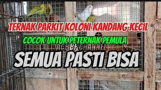 Download lagu Small Colony Parakeet Breeding Cage /// size 80x80x200 contains 5 pairs mp3
