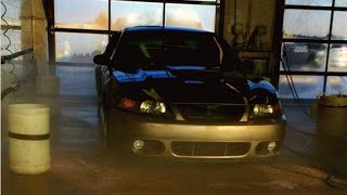 MUSTANG PLAYING IN THE SNOW (short film- Adrian Nevarez)