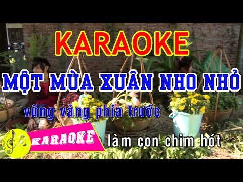 Một Mùa Xuân Nho Nhỏ Karaoke || Beat Chuẩn