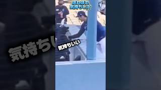 ワンちゃんと遊ぶドジャース大谷翔平