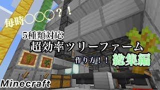 Minecraft統合版 コマンド1個でできる 木こりmod再現 コマンド紹介 تنزيل الموسيقى Mp3 مجانا