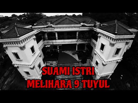 THE HOUSE OF THE MILLIONAIRE WHO KEEPS TUYUL