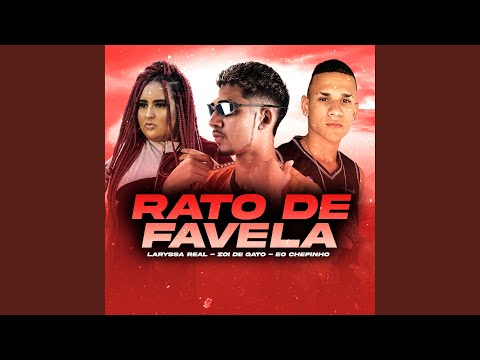 Rato de Favela