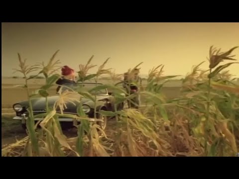 Scarecrow - Vingança do Espantalho - Terror