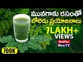 Health Benefits Of Moringa Juice Munagaku Rasam MedPlus One TV