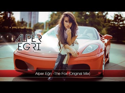 DjAlper Eğri - The Fox (Matkaps Special)