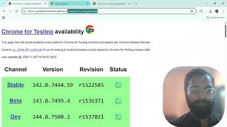 How to Download Google ChromeDriver (Latest 2027 Update) for Selenium 