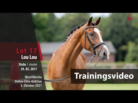 62. Elite-Auktion Training Lot 17 Lou Lou v. Lissaro/Lauries Crusador xx