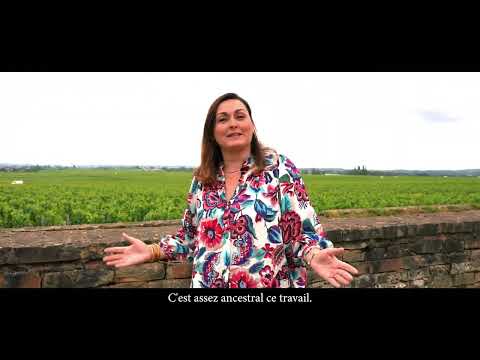 Découvrir la Route des Grands Crus en Bourgogne, en Côte de Nuits et Côte de Beaune