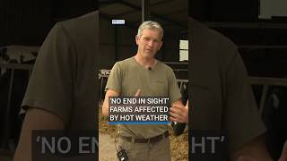 Download lagu ‘No end in sight’ - Farms affected by hot weather | #RTENews #farming mp3 Download lagu ‘No end in sight’ - Farms affected by hot weather | #RTENews #farming mp3