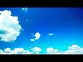 Relaxing Instrumental Music - relaxdaily - 9 hours ...