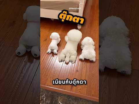 เมื่อบอกให้ไปอาบน้ำหมากลับเนียนแบบนี้ 😂