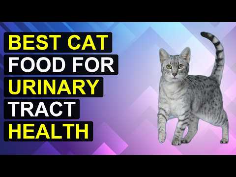 Top 5 Best Cat Food For Urinary Tract Health | Urinary Care Cat Cuisine