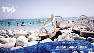 Angus &amp; Julia Stone - Devil&#39;s Tears (Vicion ft. Tesity Cover)