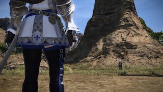 FF14 交わらぬ心慮(ジョブクエスト・ナイトLv45.2)