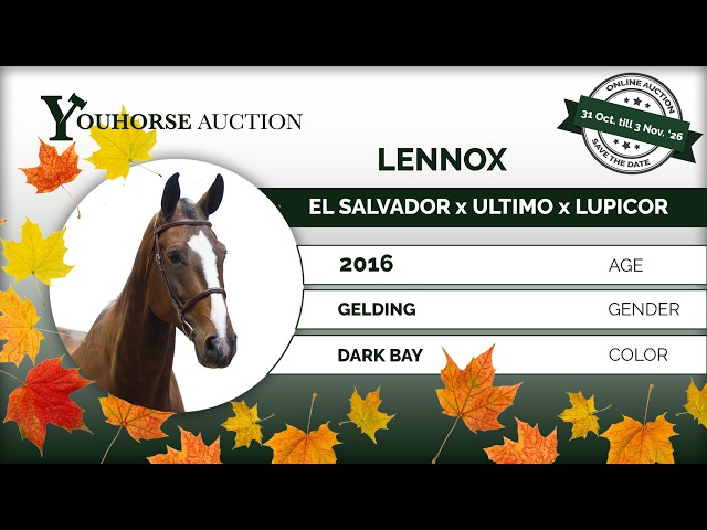 Lennox showvideo