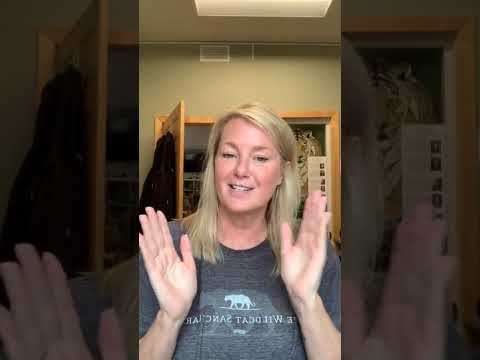 Wildcat Wrap Up ep. 86 || The Wildcat Sanctuary