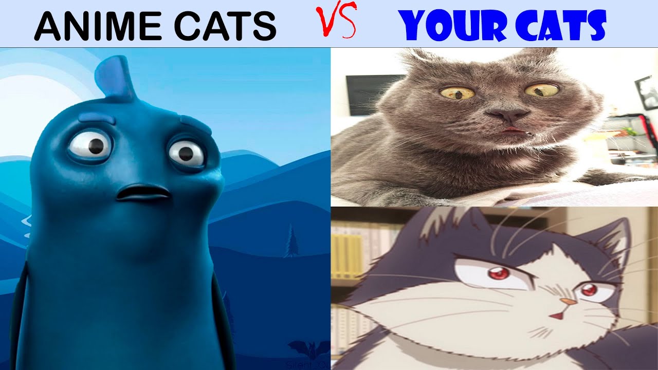Anime cats VS Your cats: (Pin reacts to your cats)