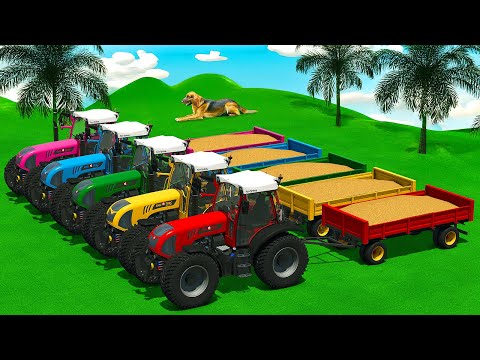 LOAD AND TRANSPORT WHEAT WITH RIGITRAC TRACTORS AND JCB LOADERS - Farming Simulator 25