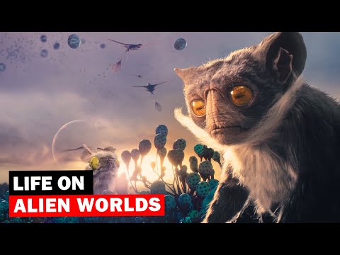 What Would Life look like on Alien Worlds?