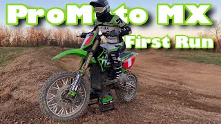 Backordered For 4 Months - Finally Got My Losi ProMoto MX - Was It All Hype or Is It Just That Good?