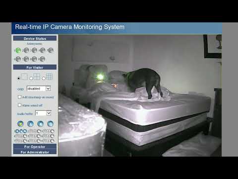 IP Camera trolling clip - draining an innocent UK citizen at 6 AM ▶1:42 ▶1:42