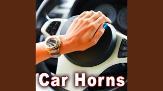 Short Horn Blast from a Stretch Limo