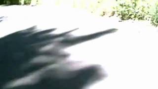 Screaming Trees - The Pathway - Live audio - Boston 9/16/1987
