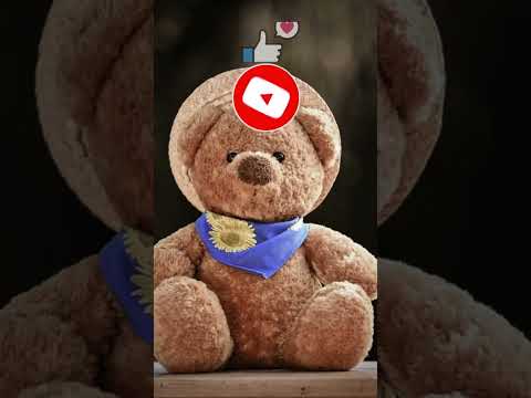 園芸 装飾的な果実を持つ多年草