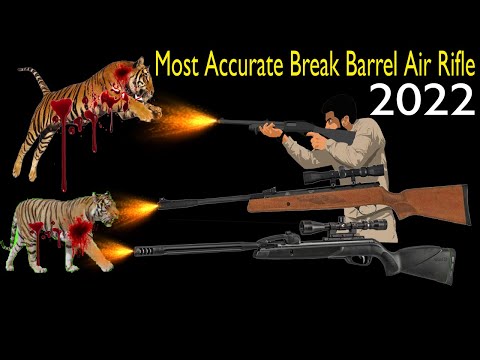 Top 10 Best Most Accurate Break Barrel Air Rifle 2022