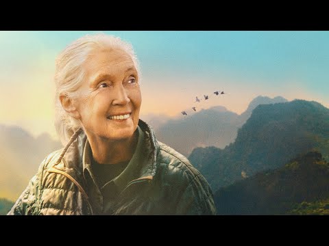Jane Goodall – Des raisons d’espérer au CINÉ+