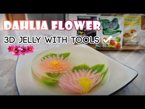 JELLY 3D - MAKE DAHLIA FLOWER - WITH TOOLS