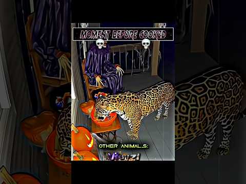 Trouzi edits and MR_SHAKA1