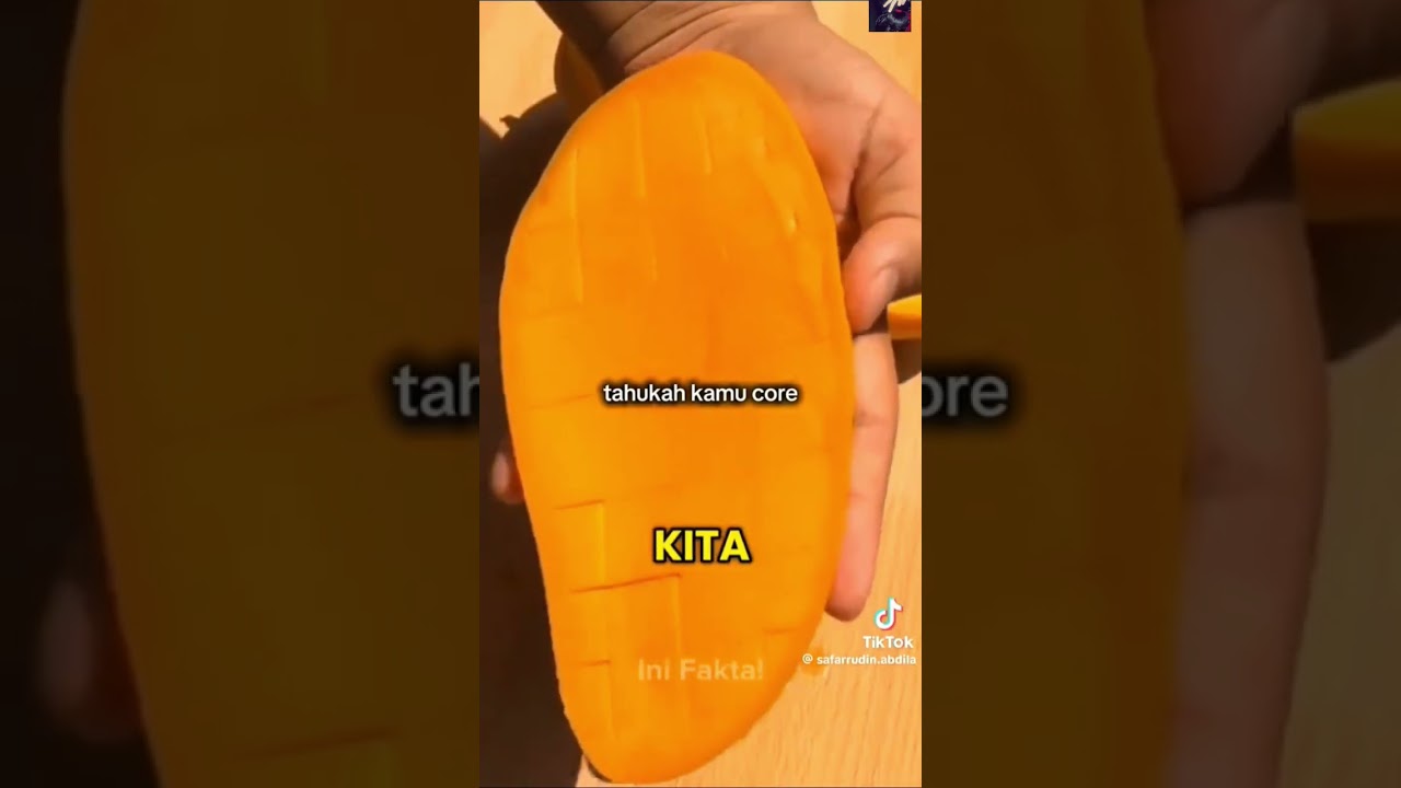 Apakah kamu tahu core 🗿Credit:TikTokz#kingkyroo#naufal_editz