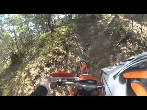 Nice trail above Prislop (1)  - Cipi Fall