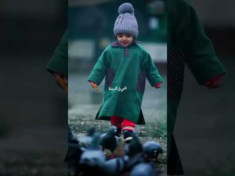 \Qalbi Fil Madina - Maher Zain & Harris J | Most Beautiful Nasheed 2025\